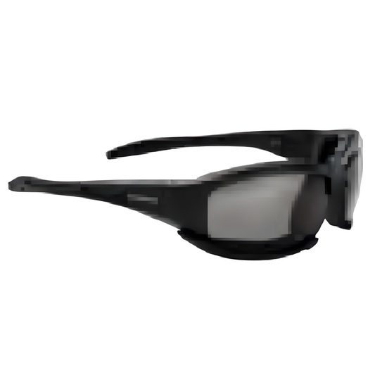 Swiss Eye Guardian Sports
