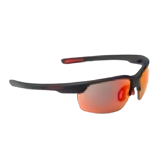 Swiss Eye Wire